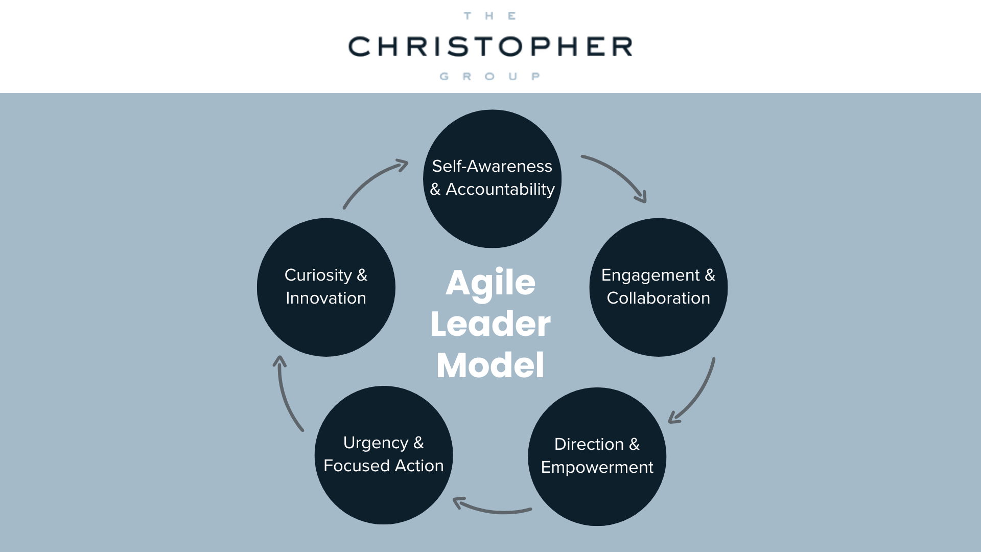 the 5 step agile leader model